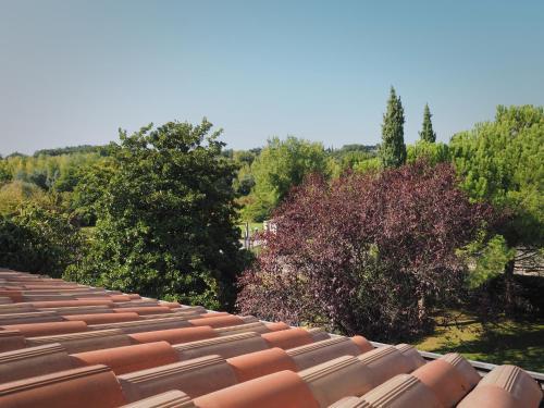 Apartamento Appartamento Antica Corte