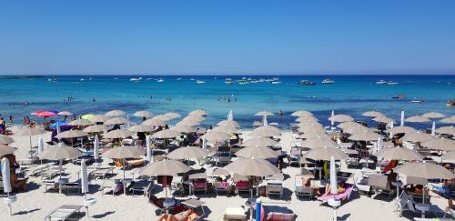 Apartamento Monolocale Sul Lungomare
