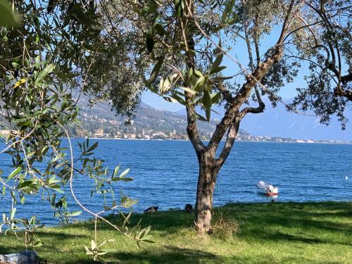 Apartamento Magnolie Garda