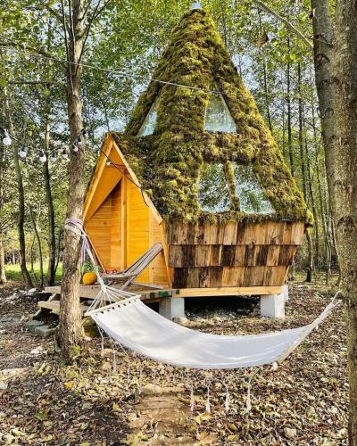 Lodge Fringe Cabins
