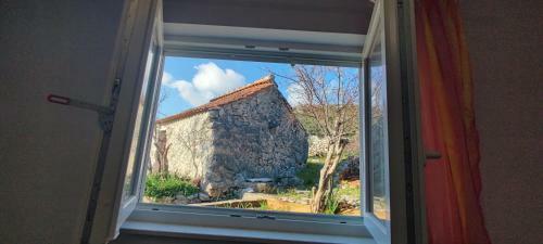House "olive Tree"