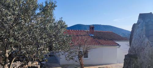 House "olive Tree"
