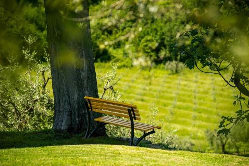 Apartamento Palazzo Trevignane Appartamento La Saletta Verde