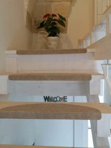 Seasons Home San Foca