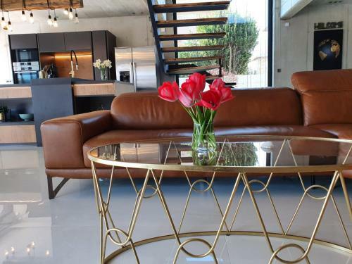Luxury Villa Pearl 1