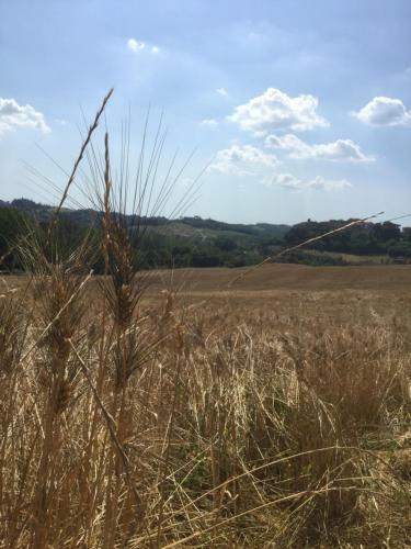 Apartamento Casa Vacanza Podere Ristoro