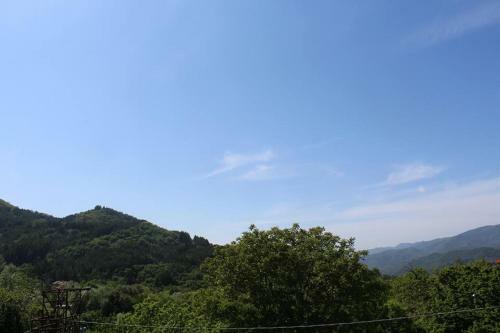 Apartamento Castagno D'andrea