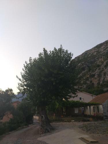 Apartamento Sottomonte