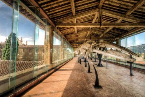 Il Balconcino Sulle Terme