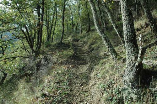 Antico Fienile Sulla Collina