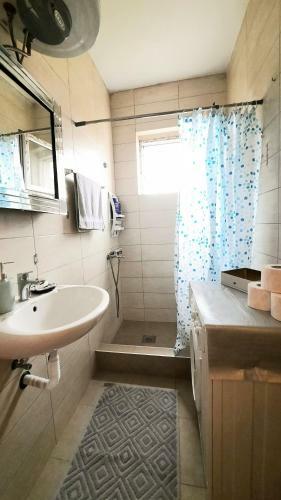 Cozy, Charming One Bedroom Apartment