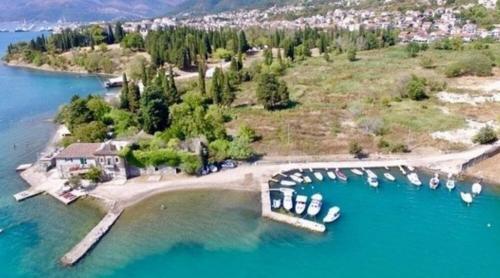 Apartman Zelena Oaza Zupa