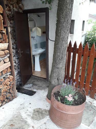 Vidin Raj (vida's Paradise)