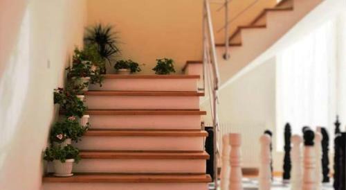 Albergue Restaurant Anima