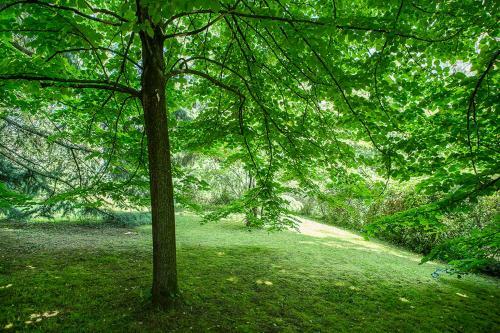 Apartamento Residenze Bellaria Park "riverside"