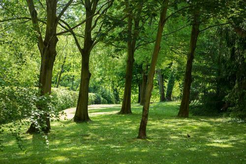 Apartamento Residenze Bellaria Park "riverside"