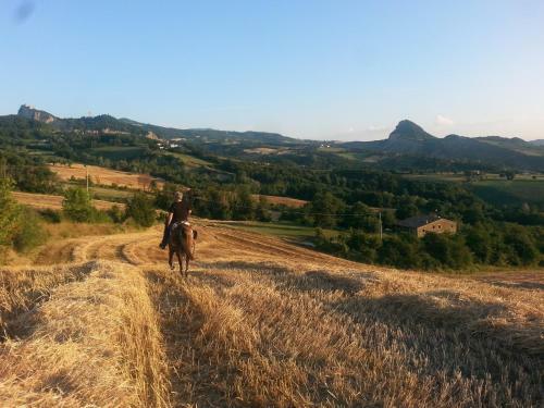 Terraluna - Room & Breakfast - San Leo