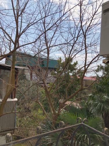 Hostal Guest House Delmar