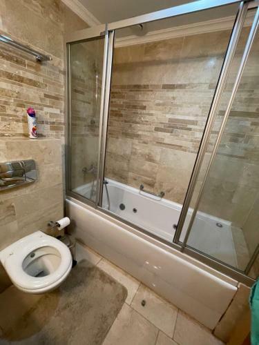 Gold City Apartment Anna