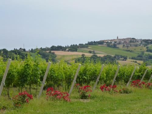 Casa Oleandro In Fratte Rosa