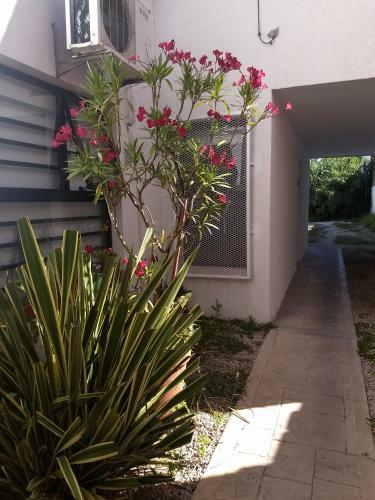 Apartamento Departamento Roc�o Con Cochera, La Perla, Mar Del Plata