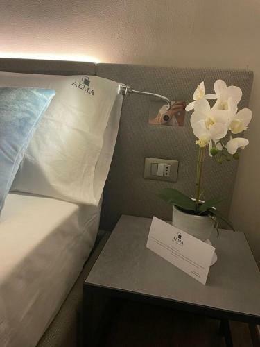 Alma Bed & Breakfast