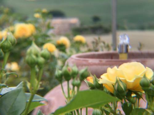 Apartamento Girasole