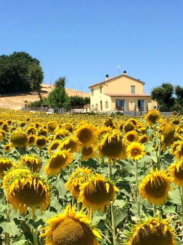 Apartamento Girasole