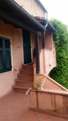 Bed & Breakfast Pin De St�lle
