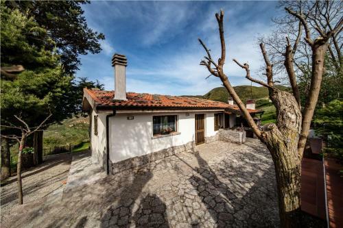 Villa Nebba