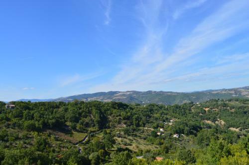 Bed & Breakfast Affittacamere Al Corso