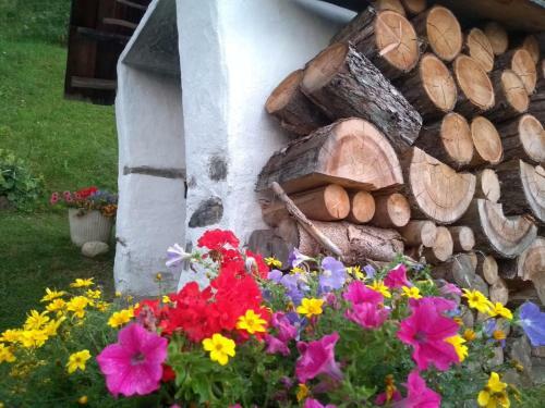 Apartamento Natur Meravigliosa Riesen