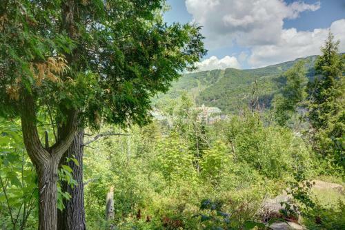Apartamentos Les Eaux By Chez Tremblant