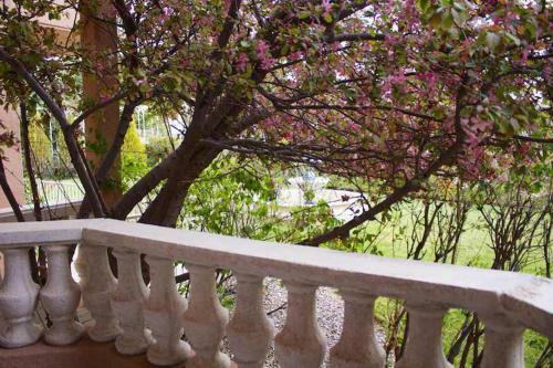 Forest Villas Hotel