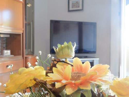 Apartamento Casa Di Nina