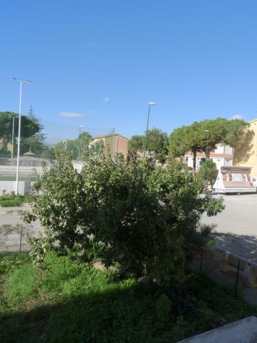 Apartamento Casa Di Nina