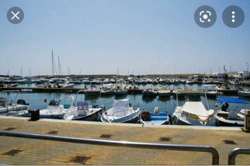 Apartamento San Leone Casa