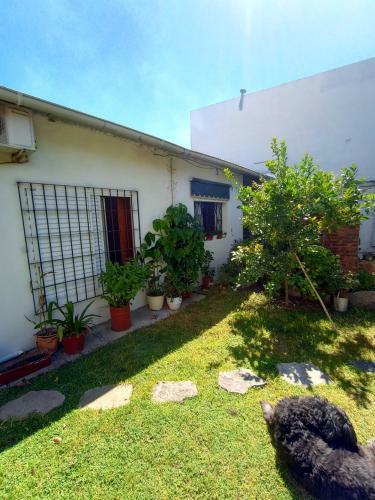 Apartamento Rolfi Y Fido