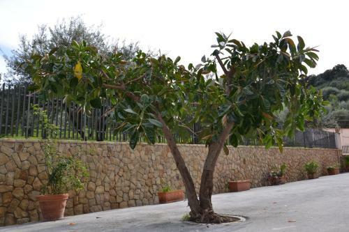 Agroturismo Villa Tiberio