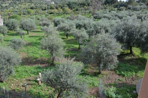 Agroturismo Villa Tiberio