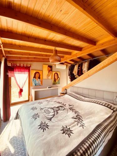 Artistic & Luxurious Villa Yasmincita