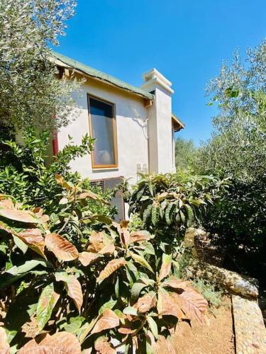 Artistic & Luxurious Villa Yasmincita