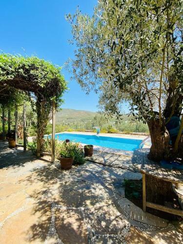Artistic & Luxurious Villa Yasmincita