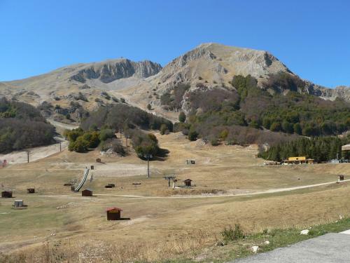 Guest Art Campitello Matese