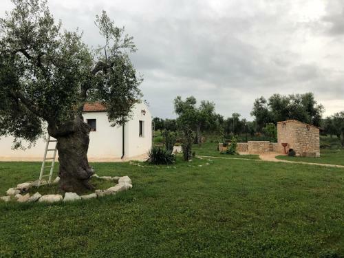 Agroturismo Tenuta De Luca