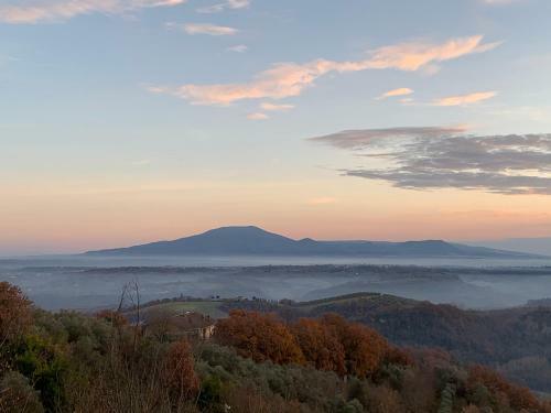 Villa Podere Campo Del Piano