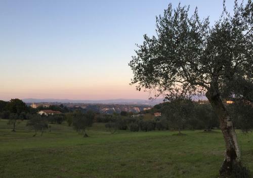 Villa Podere Campo Del Piano