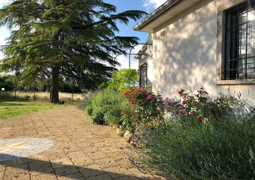 Villa Podere Campo Del Piano