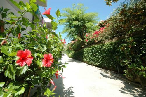 Apartamento Limoneto Residence Beach Capo Vaticano