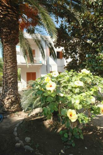 Apartamento Limoneto Residence Beach Capo Vaticano